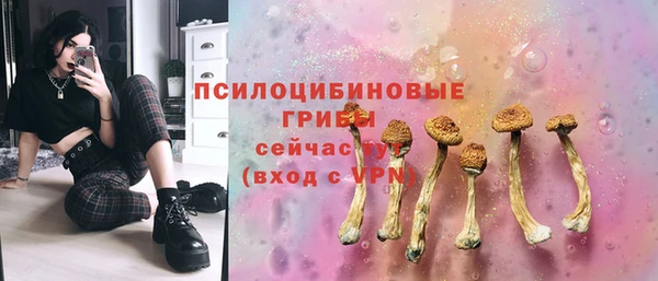 спайс Вязьма