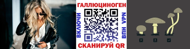omg ссылка  Махачкала  Псилоцибиновые грибы прущие грибы 